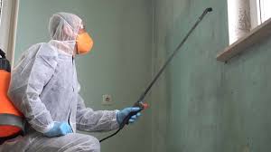 Mayfield Heights, OH Mold Remediation Company